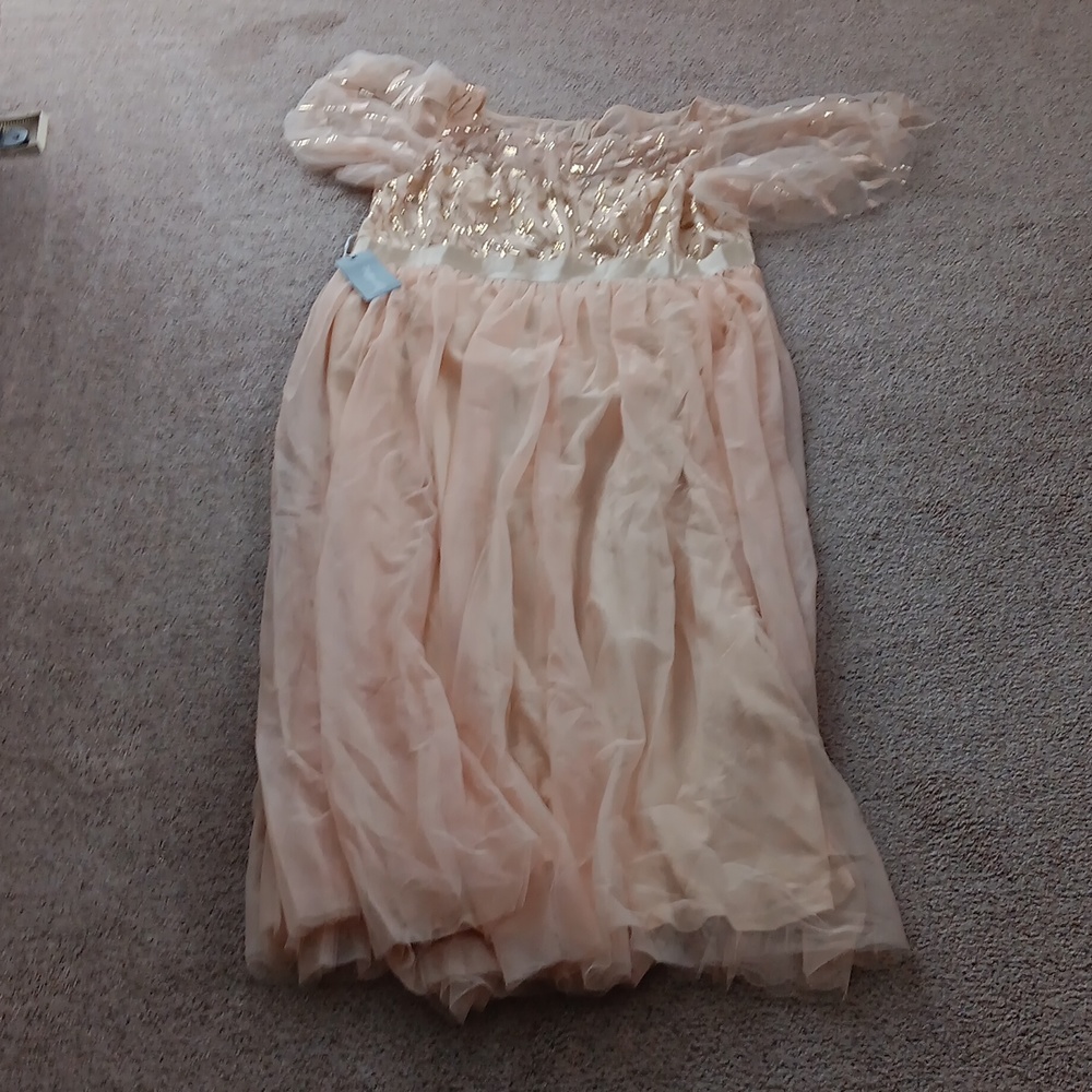 Ever pretty beige color sequin dress - Picture 11 of 11